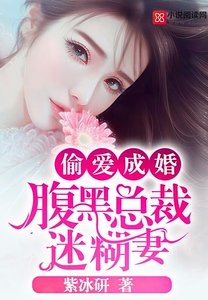 偷愛成婚:腹黑總裁迷糊妻