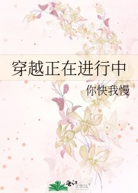 穿越正在進行中